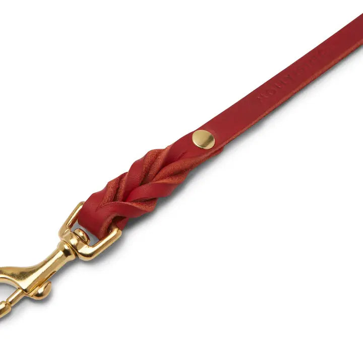 Chili Red Leash - Madison's Niche 