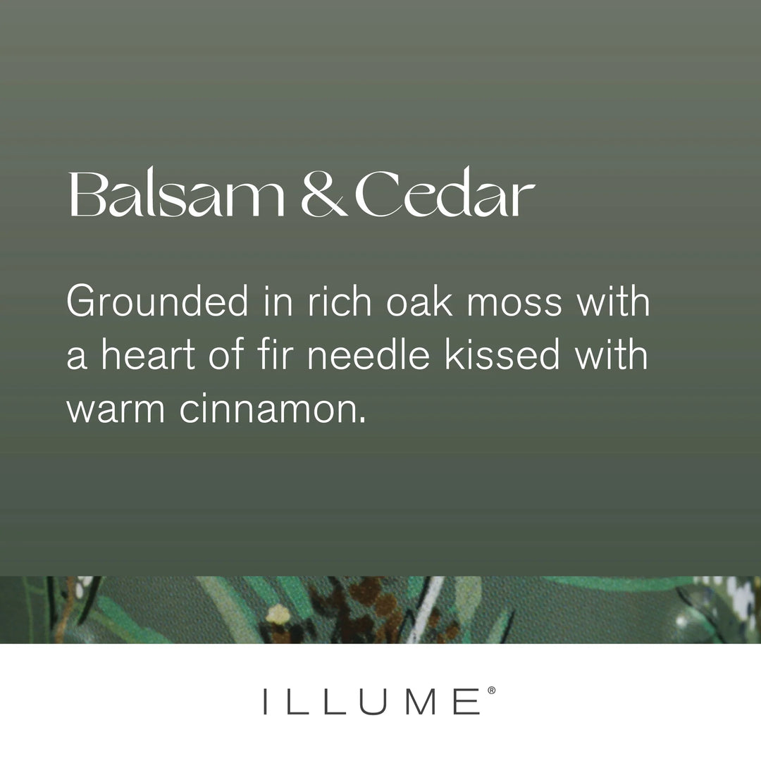 Balsam & Cedar Votive Candle - Madison's Niche 
