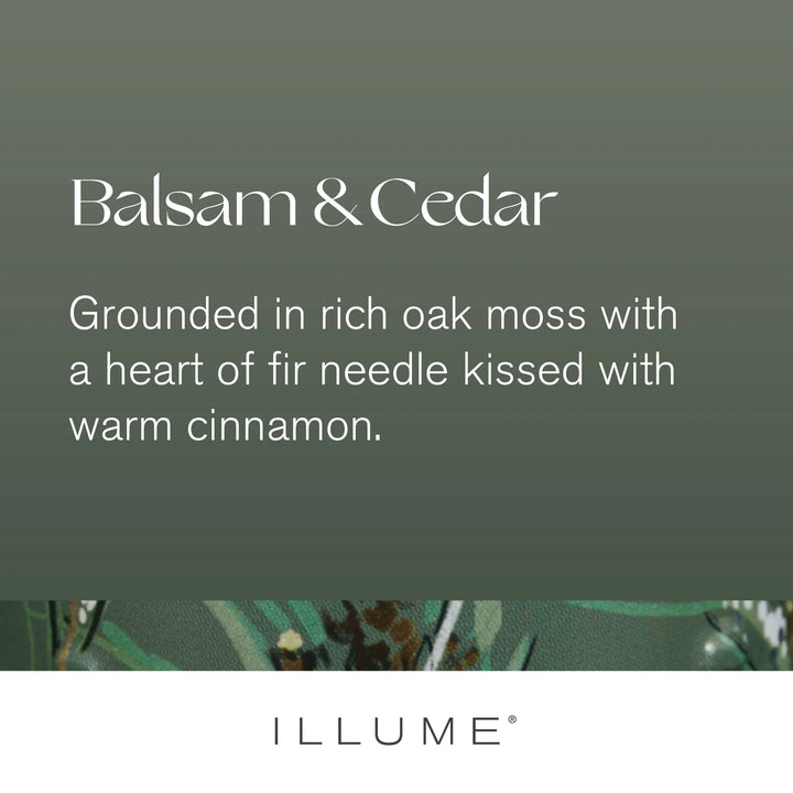 Balsam & Cedar Votive Candle - Madison's Niche 