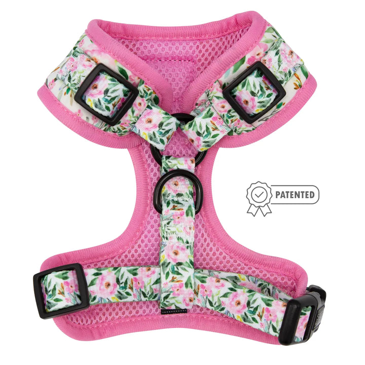 Magnolia Adjustable Harness