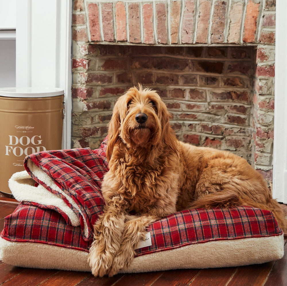 Plaid Sherpa Bed - Madison's Niche 