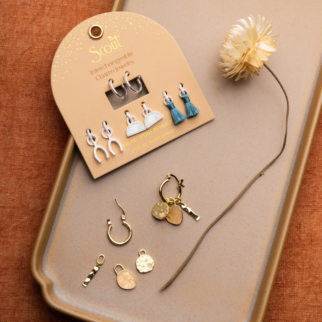 Healing Interchangeable Charm Earrings in Opalite Silver