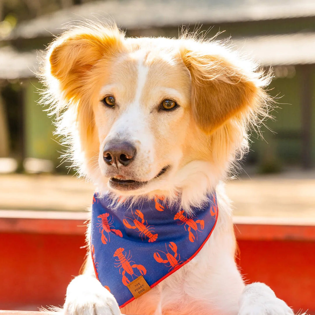 Catch of the Day Bandana - Madison's Niche 