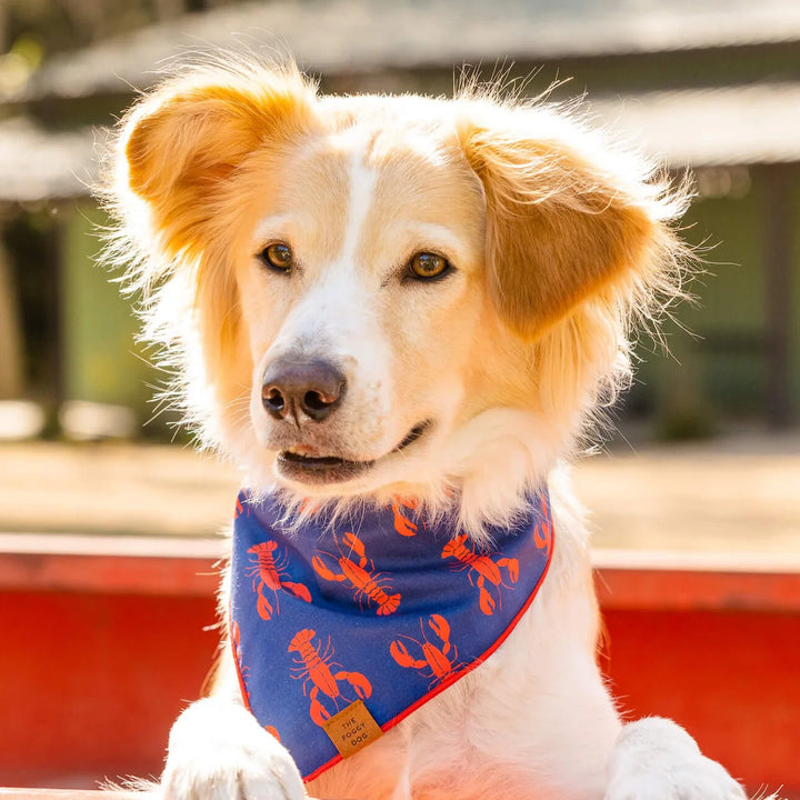 Catch of the Day Bandana - Madison's Niche 