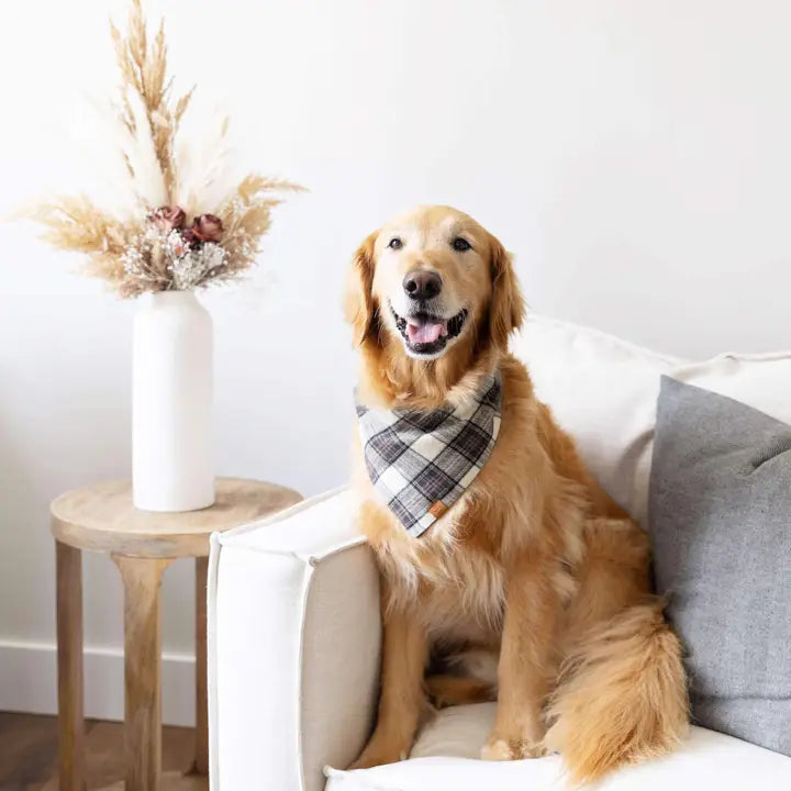 Chestnut Plaid Bandana - Madison's Niche 