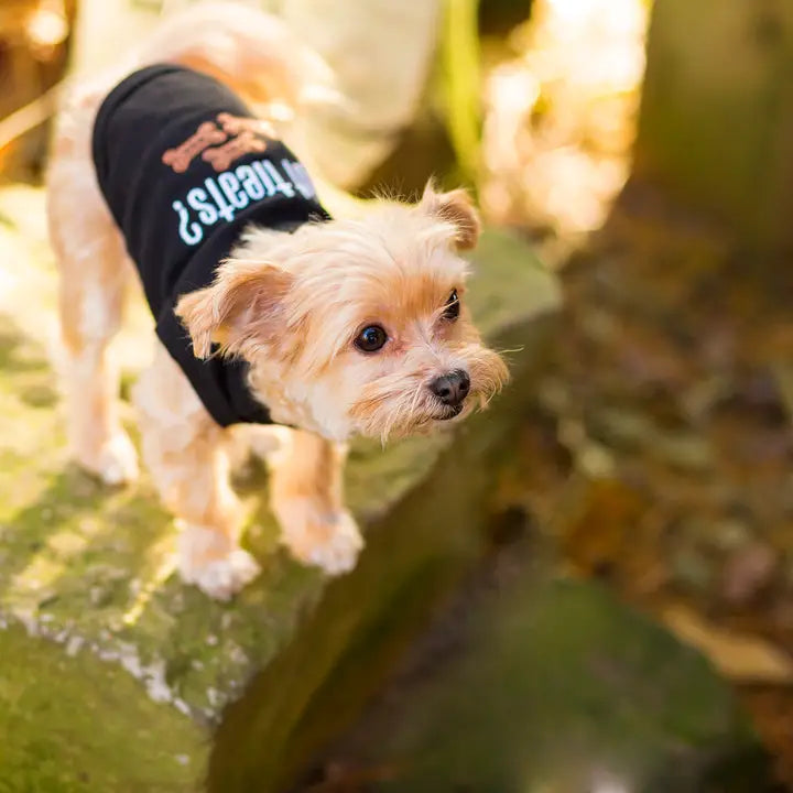 Got Treats T-Shirt - Madison's Niche 