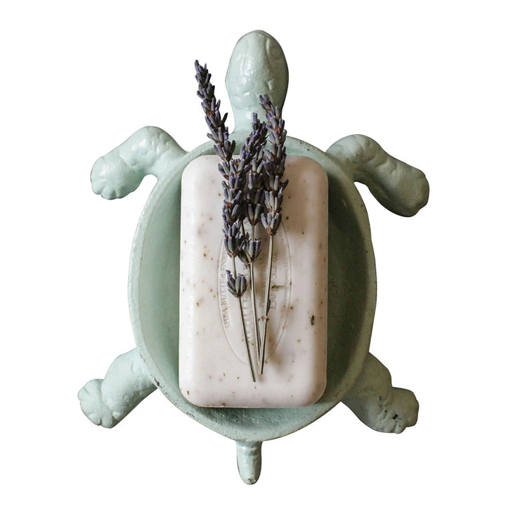 Aqua Turtle Soap Dish - Madison's Niche 