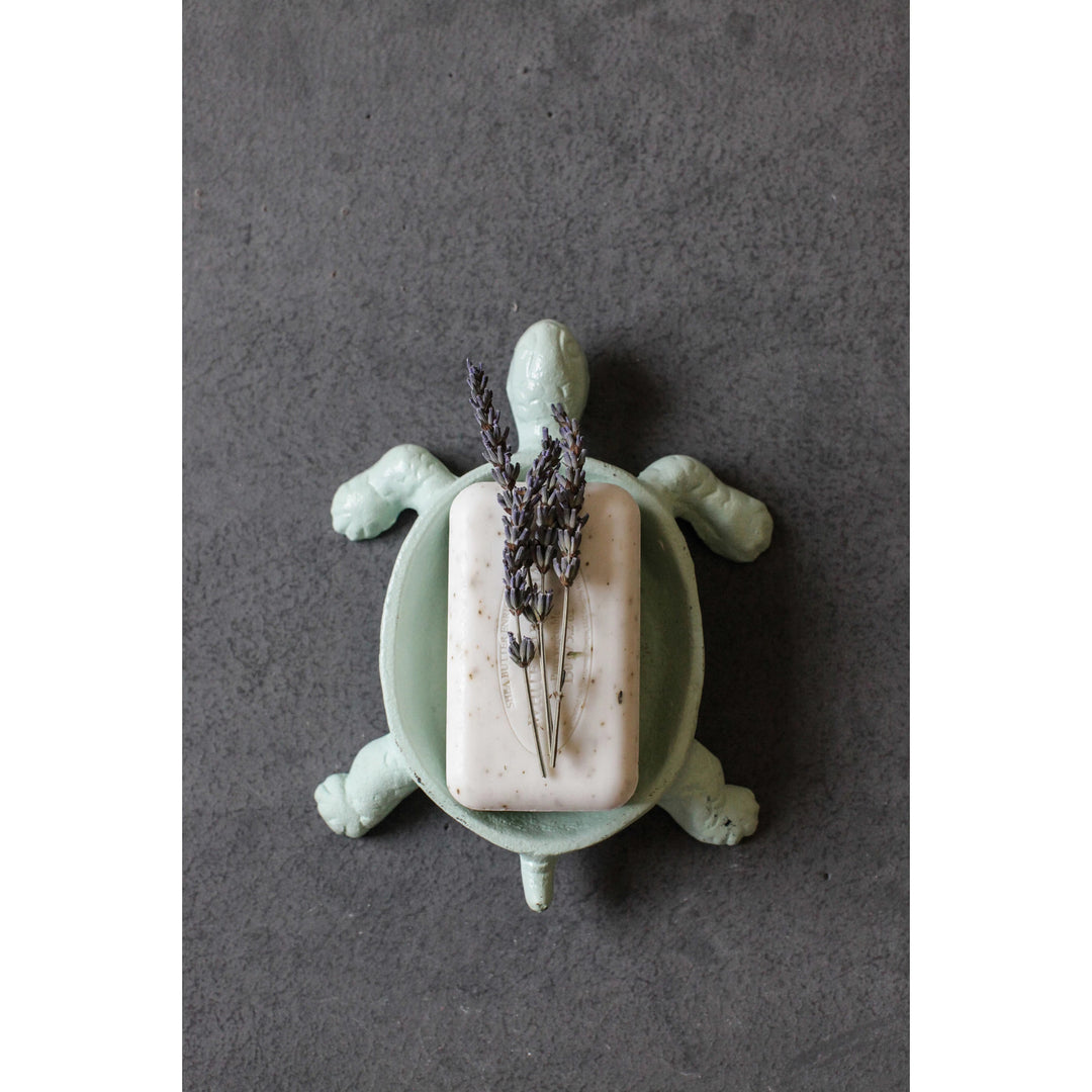 Aqua Turtle Soap Dish