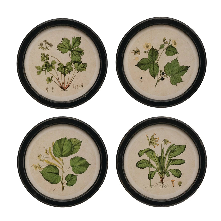 Round Botanical Wall Art