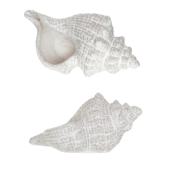 White Glaze Conch Shell