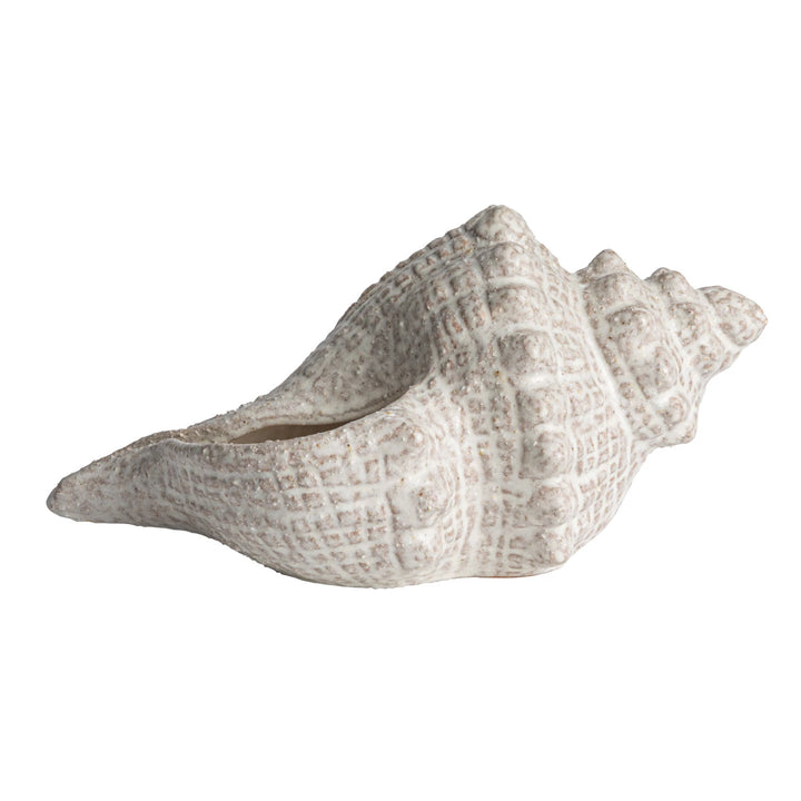 White Glaze Conch Shell - Madison's Niche 