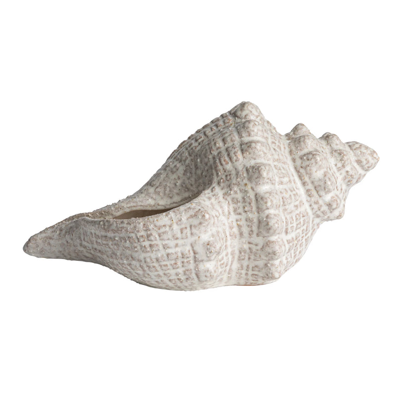 White Glaze Conch Shell - Madison's Niche 