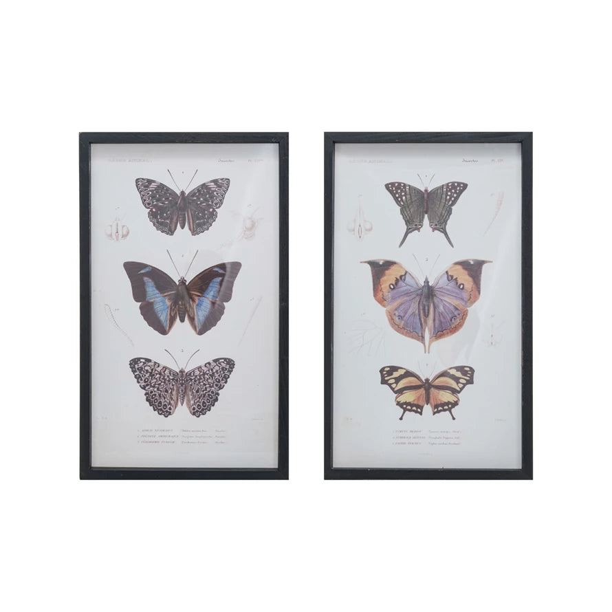 Butterflies Wall Art