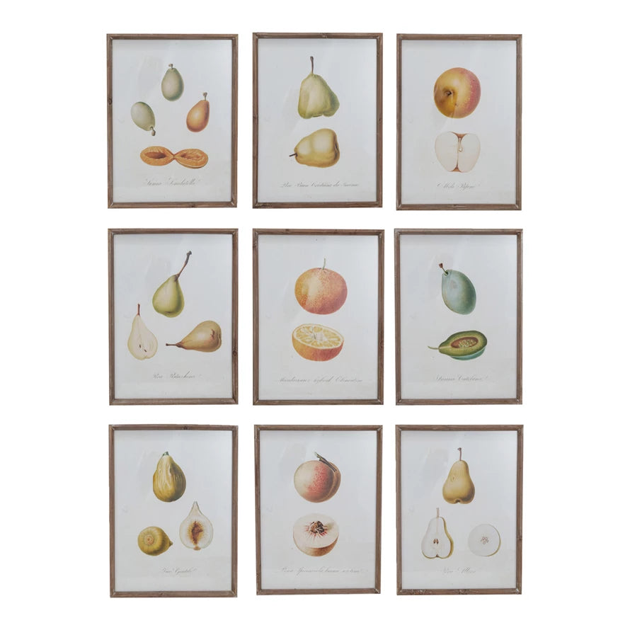 Vintage Fruit Wall Art