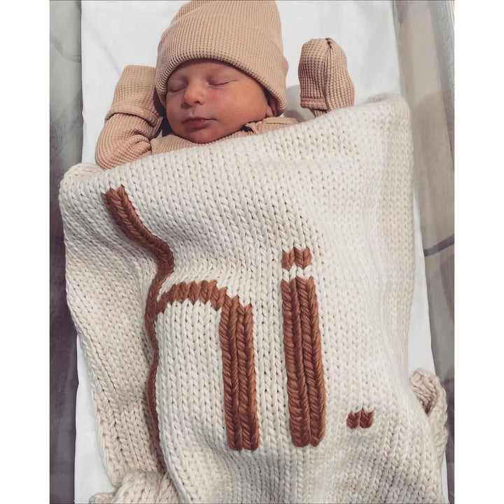Hi Knit Baby Blanket in Pecan