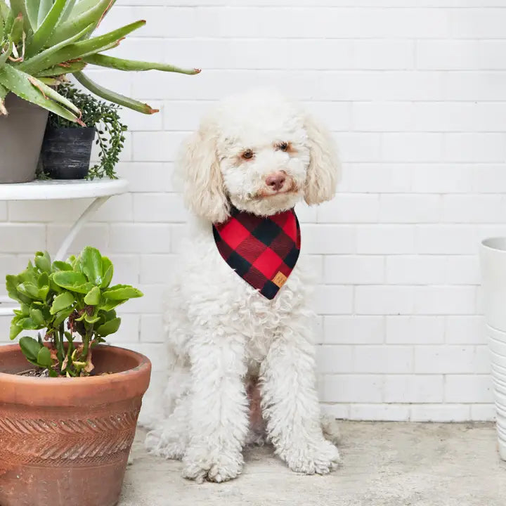 Red & Black Buffalo Bandana - Madison's Niche 