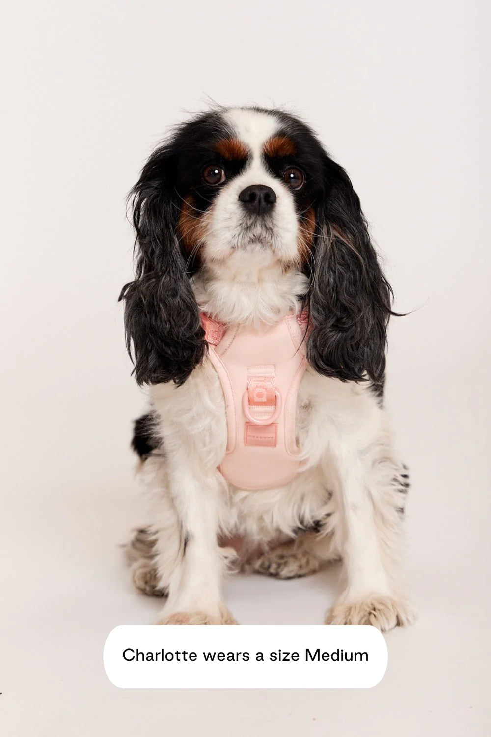 Easy Fit Dog Harness in Peach