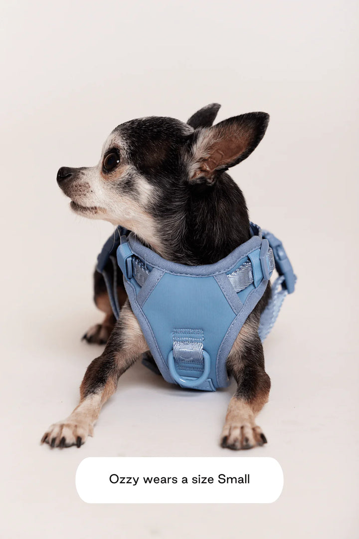 Easy Fit Dog Harness in Blue - Madison's Niche 