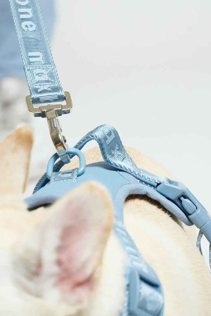 Easy Fit Dog Harness in Blue - Madison's Niche 