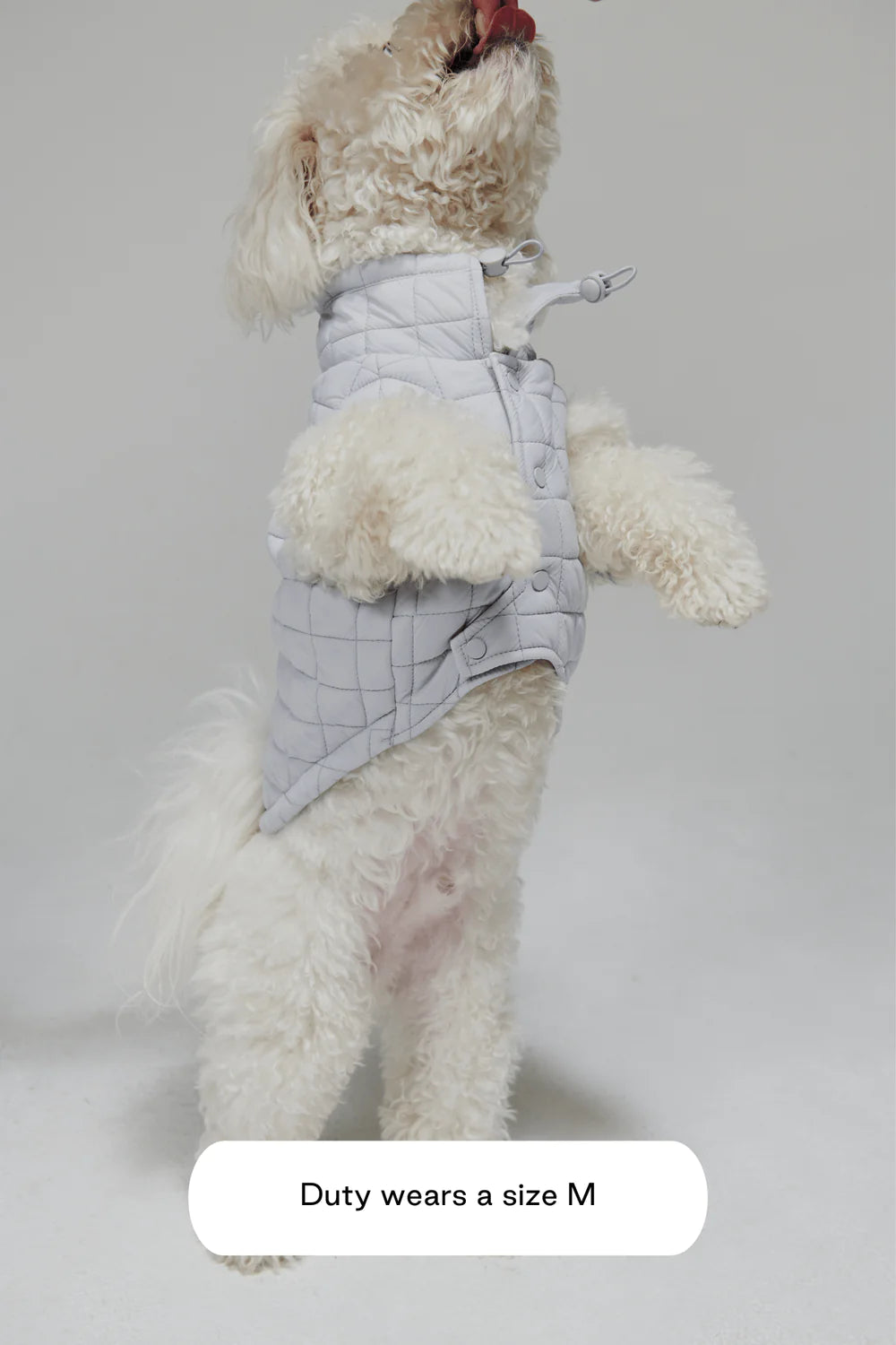 Easy Fit Jacket in Blue - Madison's Niche 