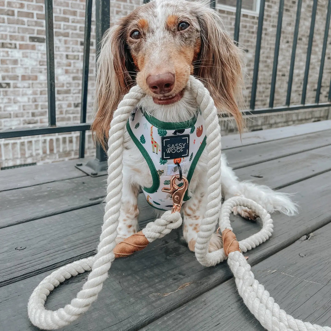 Rope Leash in Natural