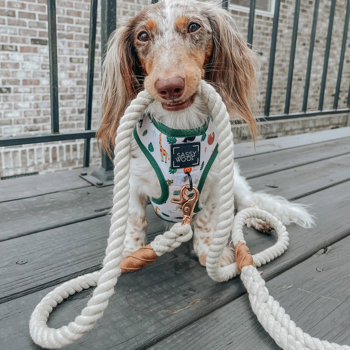 Rope Leash in Natural