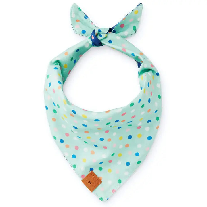Reversible Birthday Yay Bandana - Madison's Niche 