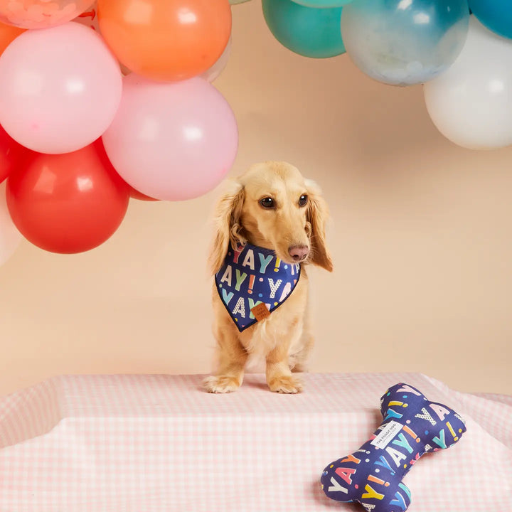 Navy Birthday Yay Bandana