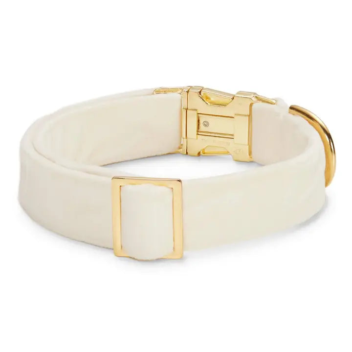 Ivory Velvet Collar - Madison's Niche 