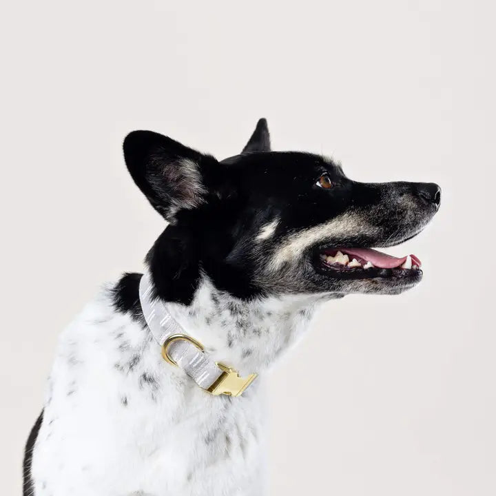 Flax Lines Boho Collar - Madison's Niche 