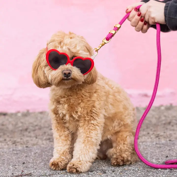 Hot Pink Marine Leash - Madison's Niche 