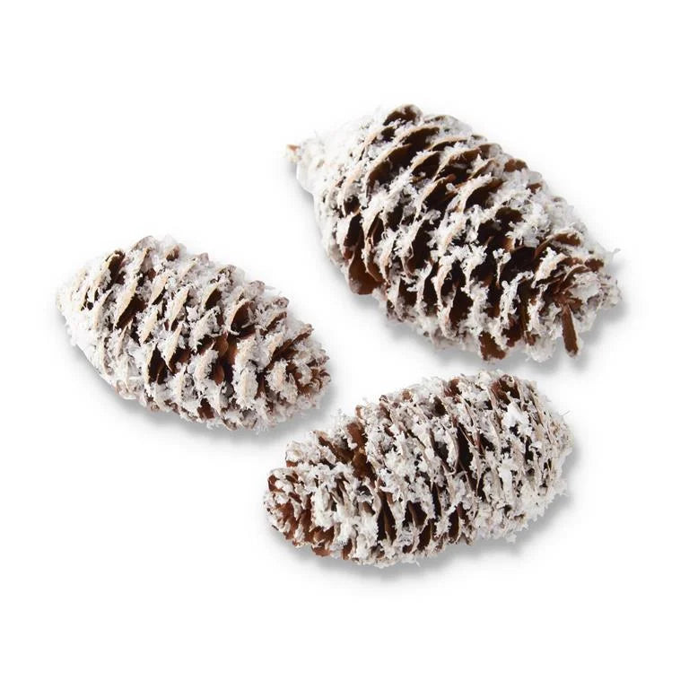 Flocked Pinecones Cylinder - Madison's Niche 