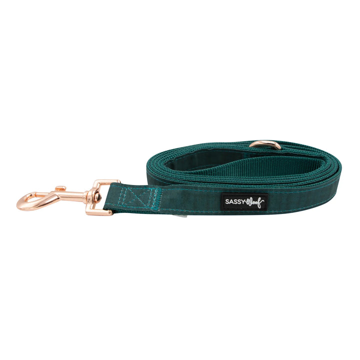 Green Fabric Leash - Madison's Niche 