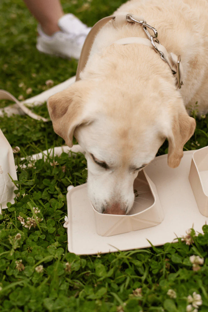 Go Portable Bowls