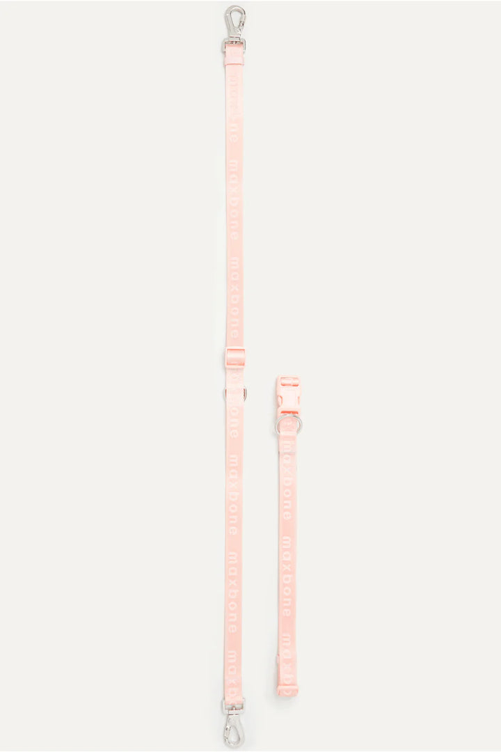 Hands Free Leash in Peach - Madison's Niche 