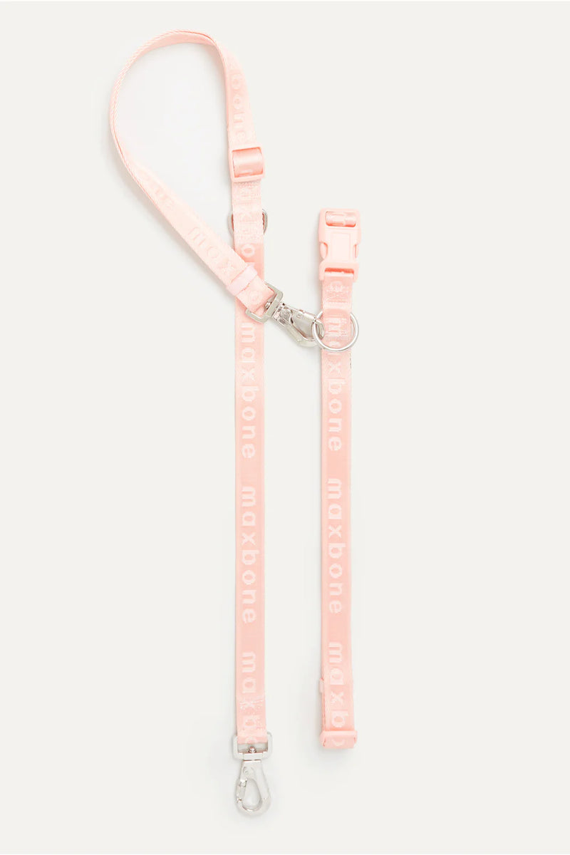 Hands Free Leash in Peach - Madison's Niche 