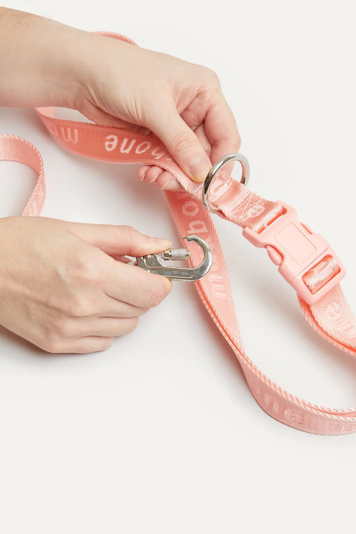 Hands Free Leash in Peach - Madison's Niche 