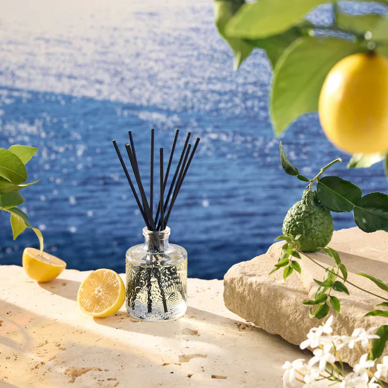 Room Diffusers Madison's Niche 