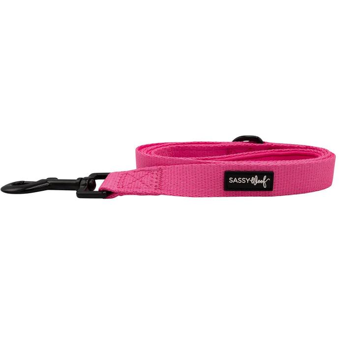 Pink Fabric Leash - Madison's Niche 