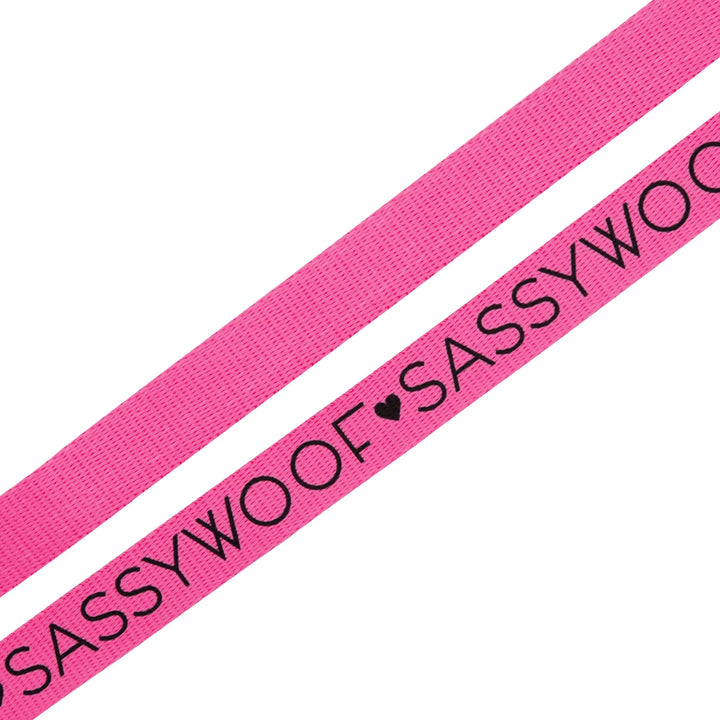 Pink Fabric Leash - Madison's Niche 