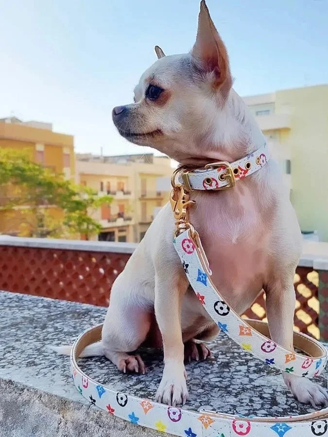 Audrey White Leash - Madison's Niche 