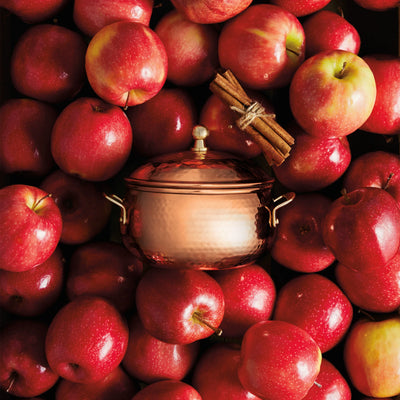 Simmered Cider 3-Wick Pot Candle - Madison's Niche 