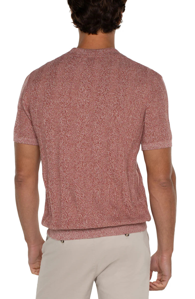 Short Sleeve Sweater Knit Polo in Nantucket Red Multi