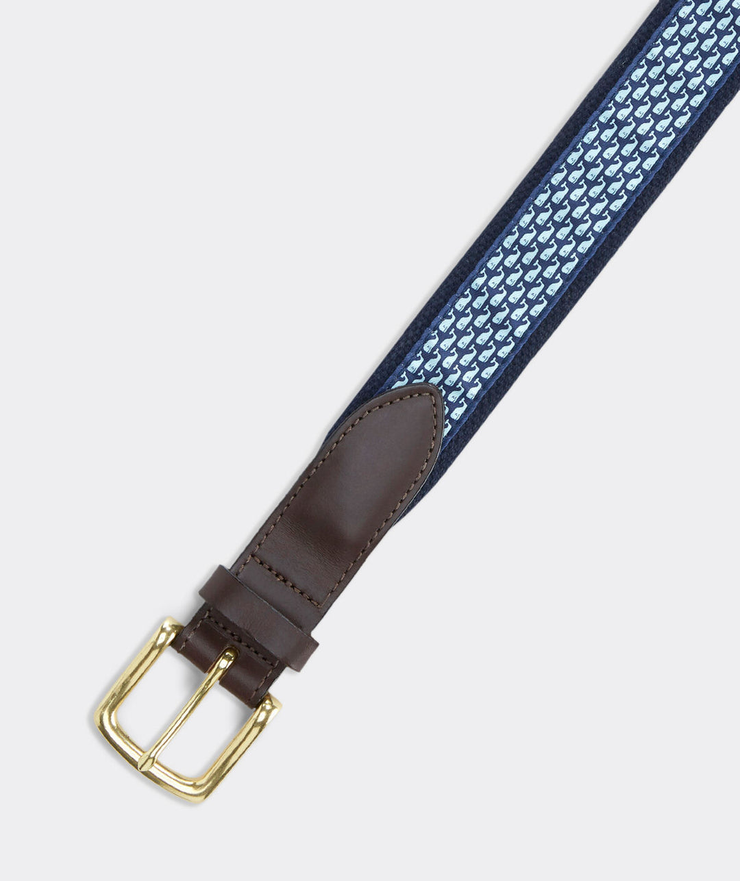 Vineyard Whale Canvas Club Belt - Madison's Niche 