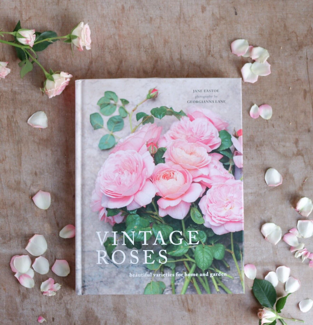 Vintage Roses Book
