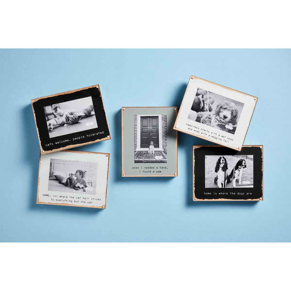 Dog Magnetic Block Frame