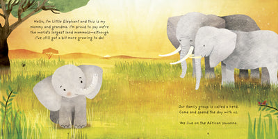 Little Elephant - Madison's Niche 