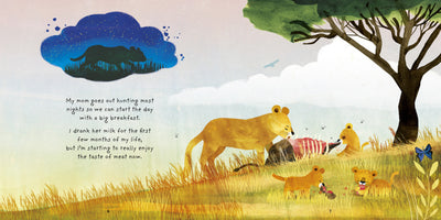 Little Lion - Madison's Niche 