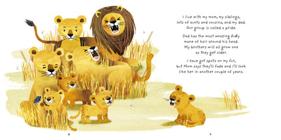 Little Lion - Madison's Niche 