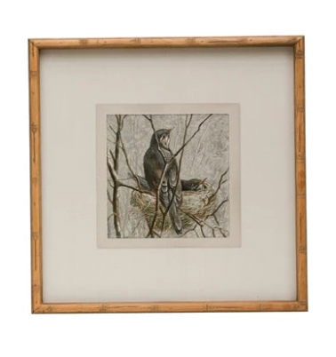 Framed Bird Print - Madison's Niche 